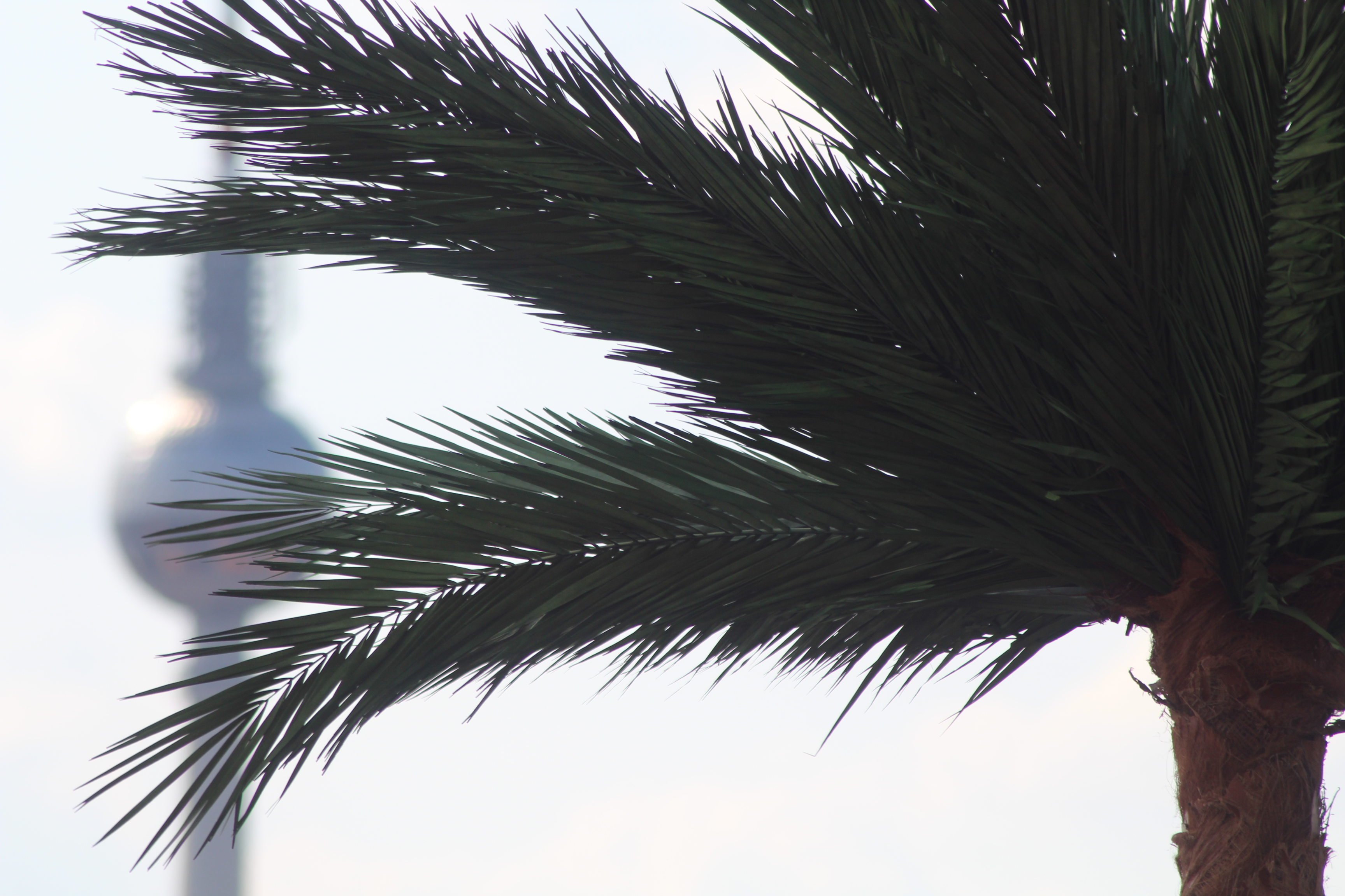 Palme Berlin